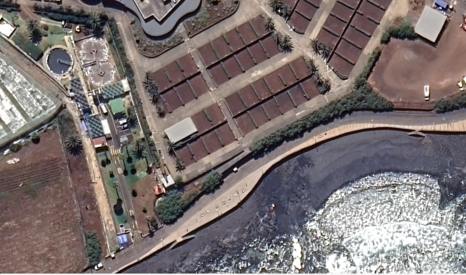 Punta del Hidalgo