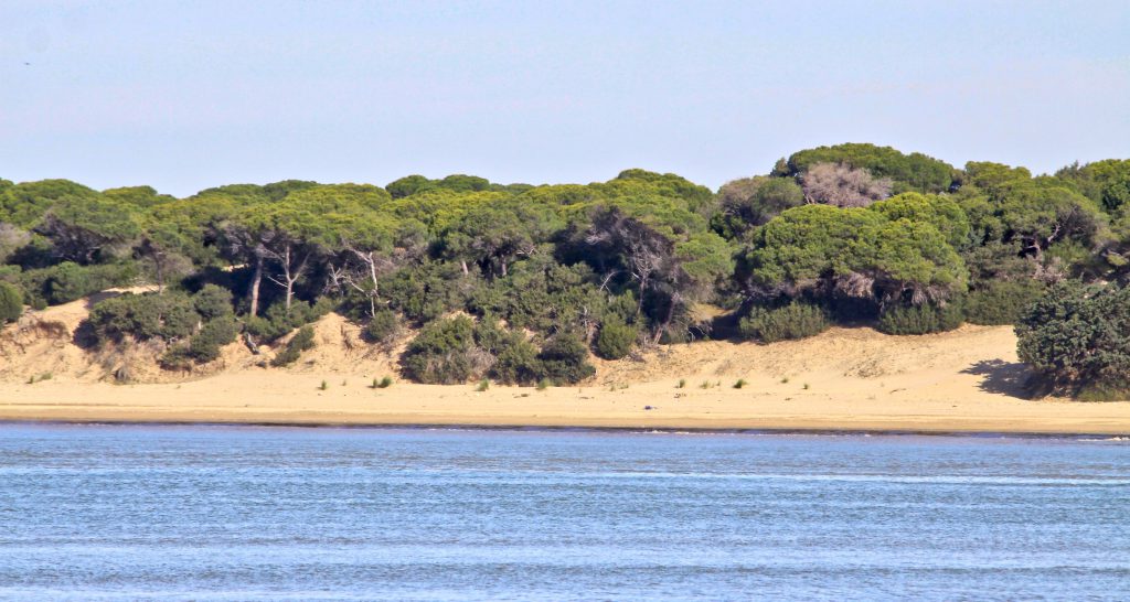 Espacio Natural de Doñana
