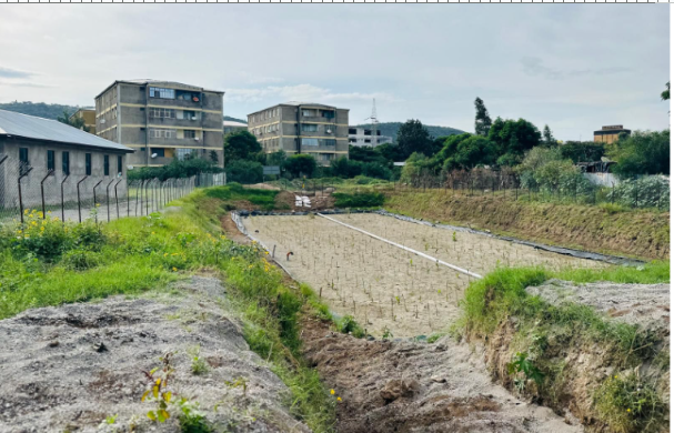Ethiopia Wetland - sanitation